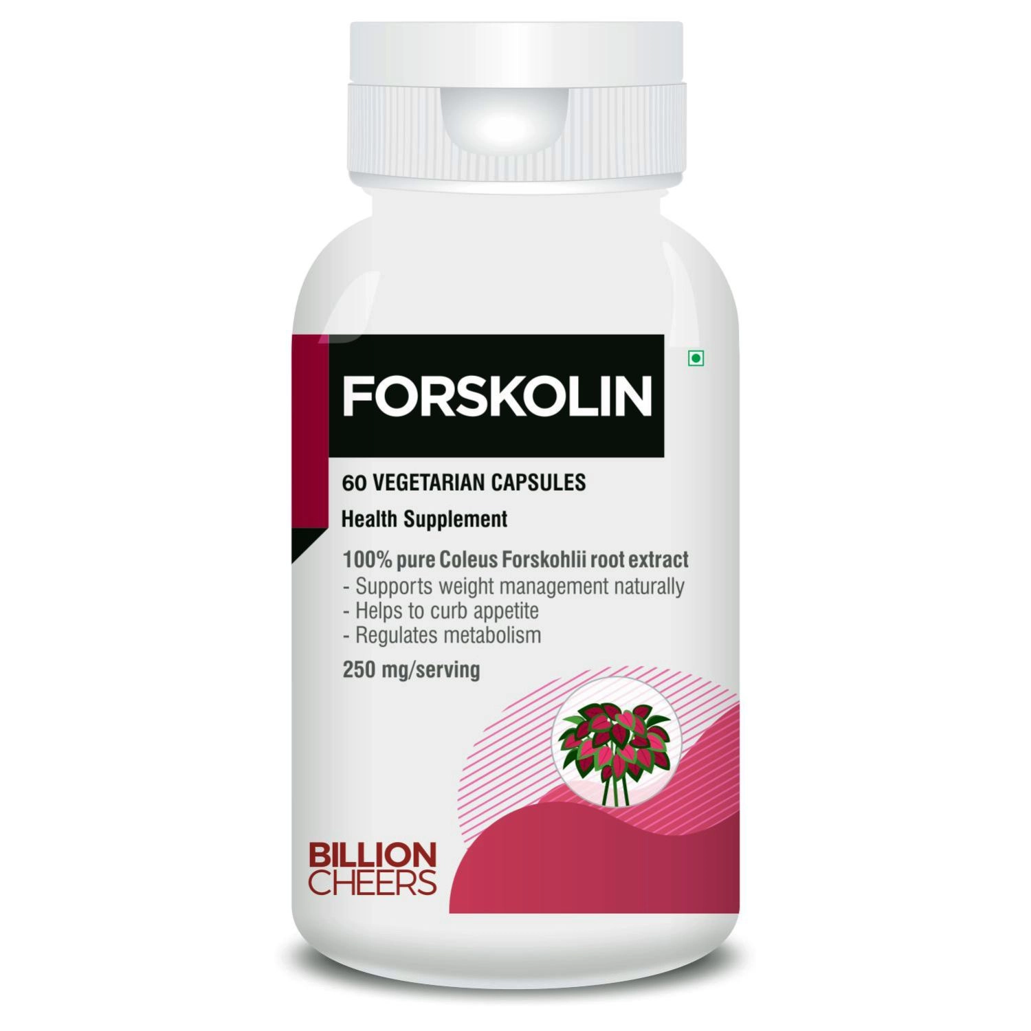 billion-cheers-forskolin-extract