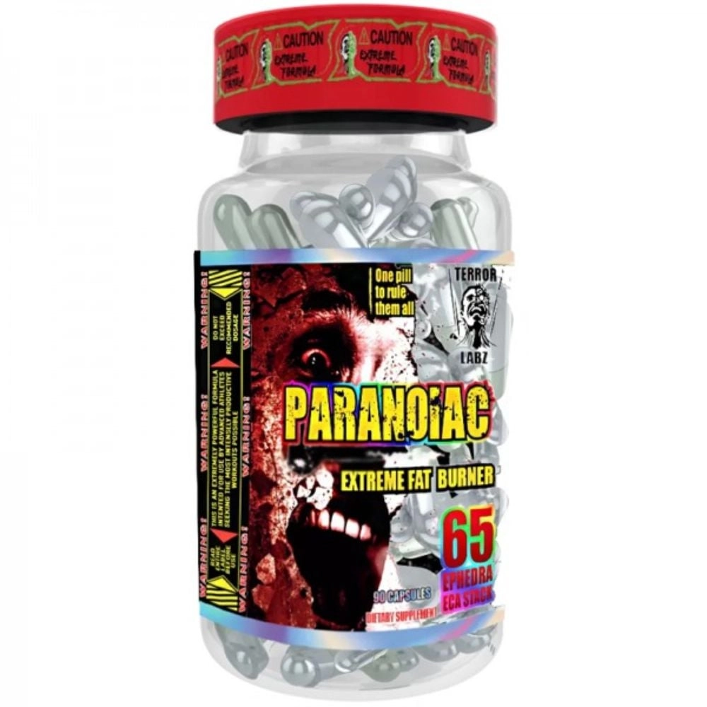 terror-labz-paranoiac
