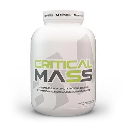 Bigmuscles Nutrition Critical Mass Gainer