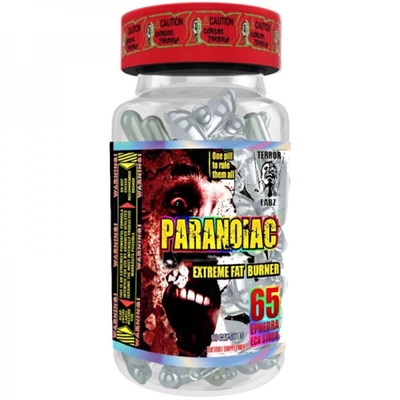 Terror Labz Paranoiac